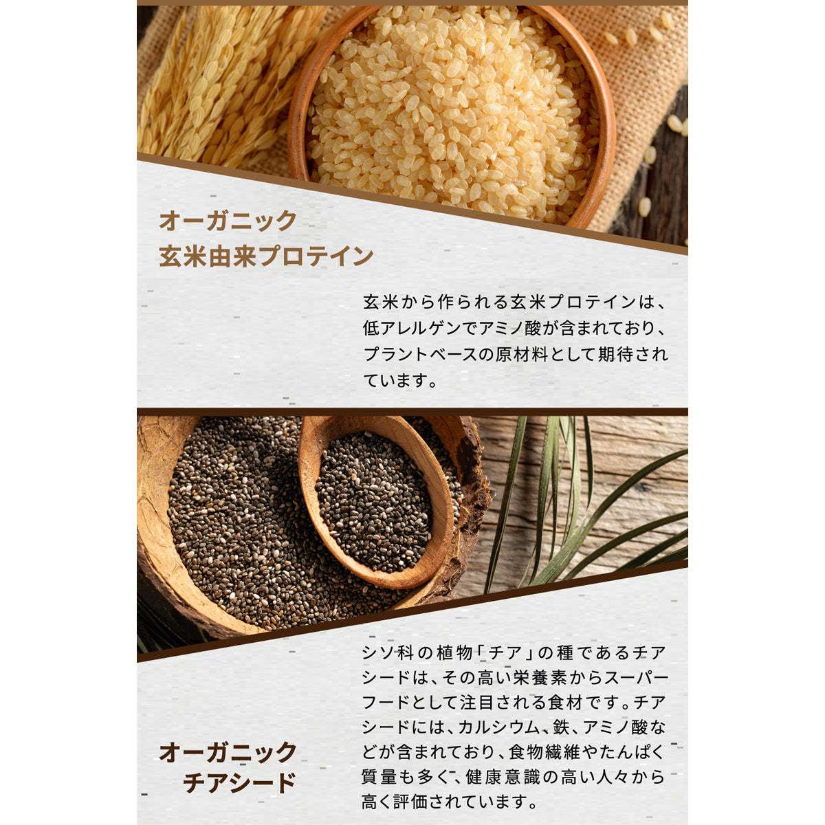 オルゲイン オーガニックプロテイン 甘くないプレーン味(シェイカー付き)