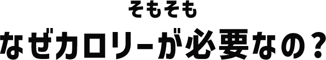 なぜカロリーが必要なの?