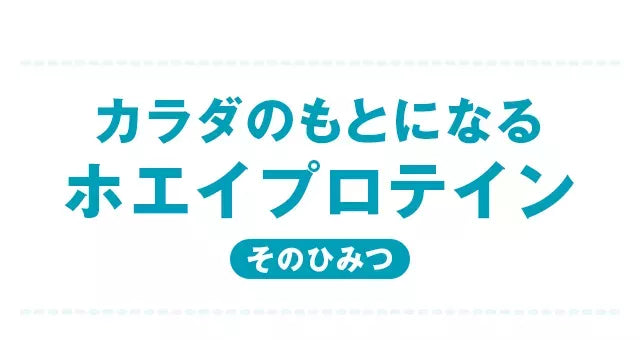 カラダのもとになるホエイプロテインそのひみつ